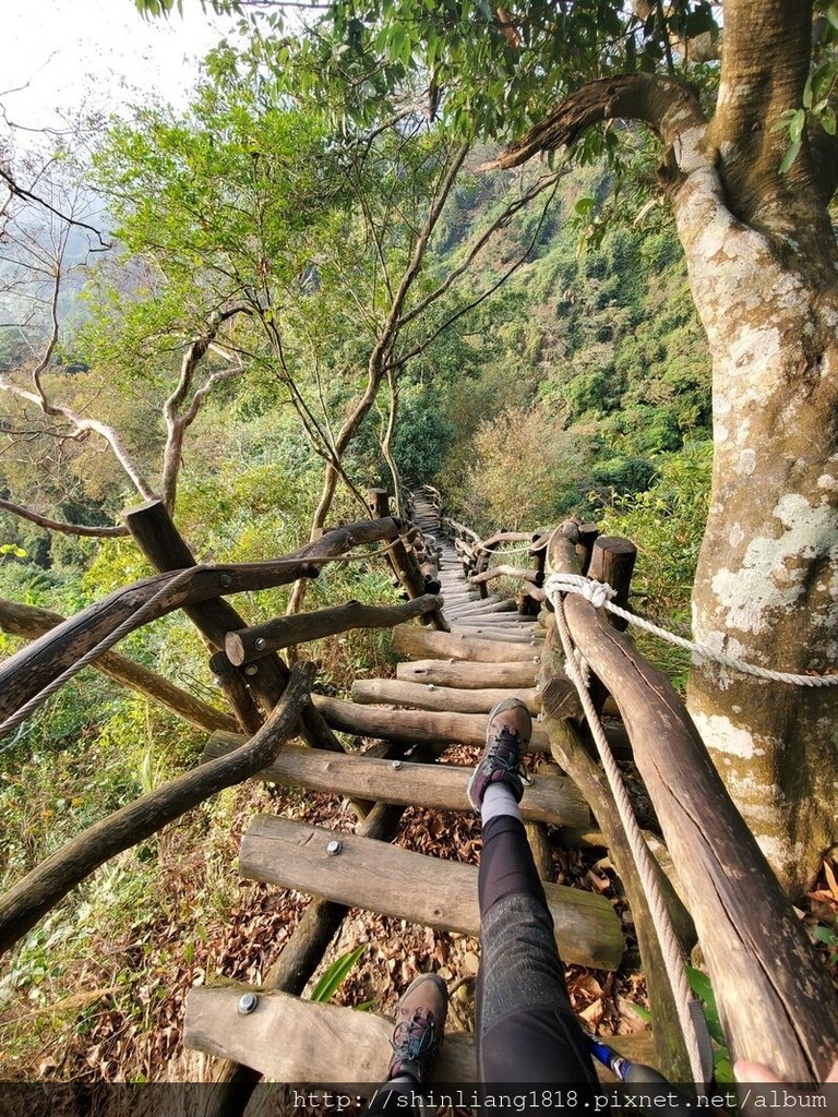 台中大坑步道 登山 大坑2號步道 登山炊煮