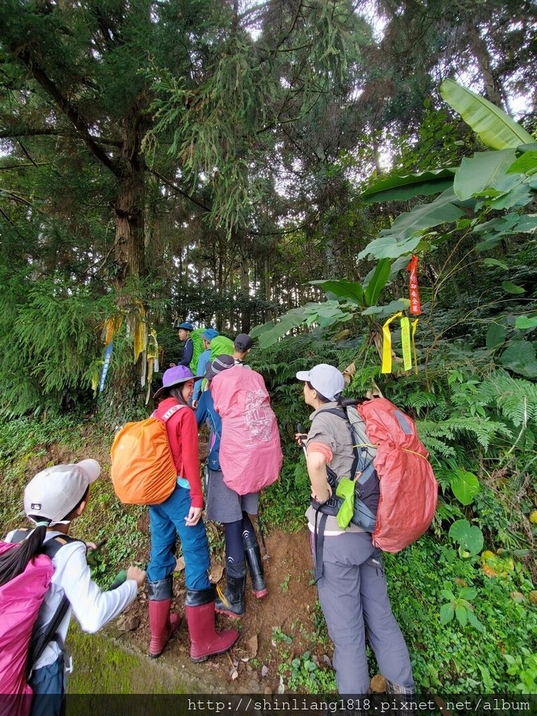 新竹 五峰 麥巴來山 親子登山 登山