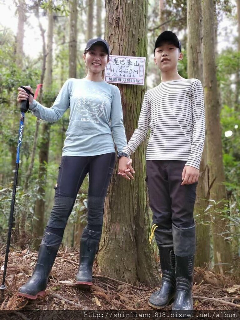 新竹 五峰 麥巴來山 親子登山 登山