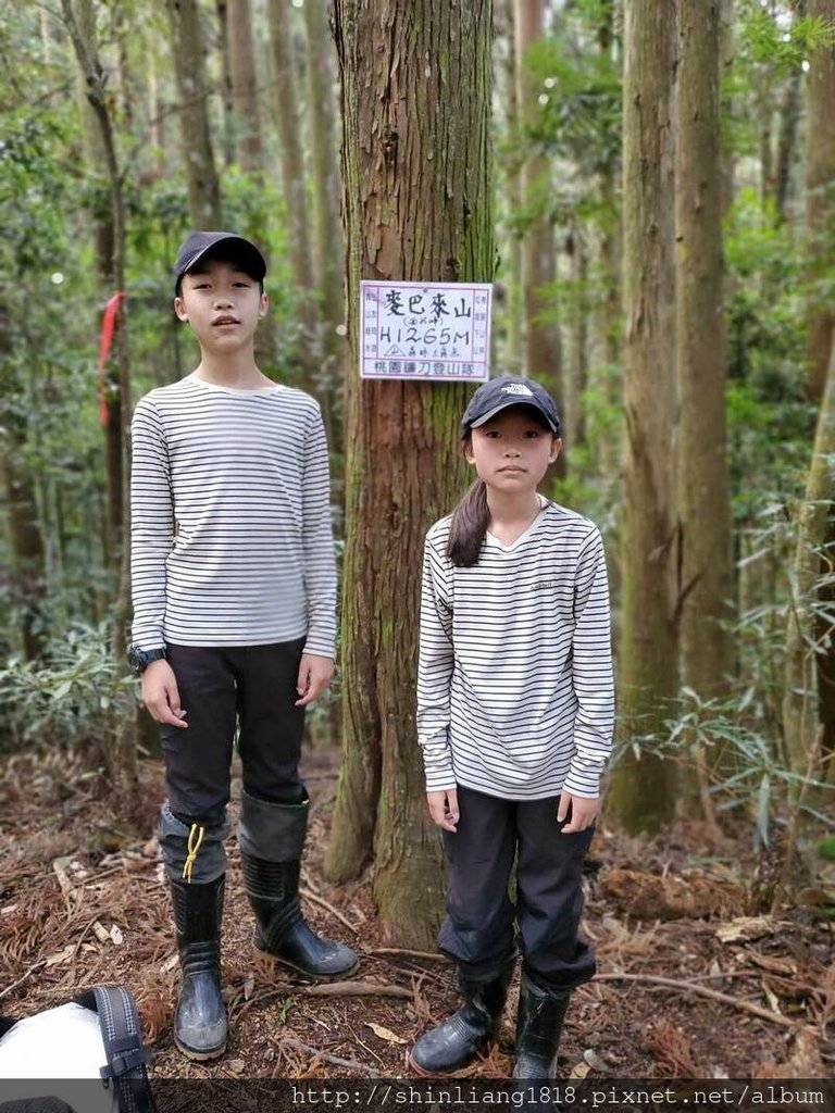 新竹 五峰 麥巴來山 親子登山 登山