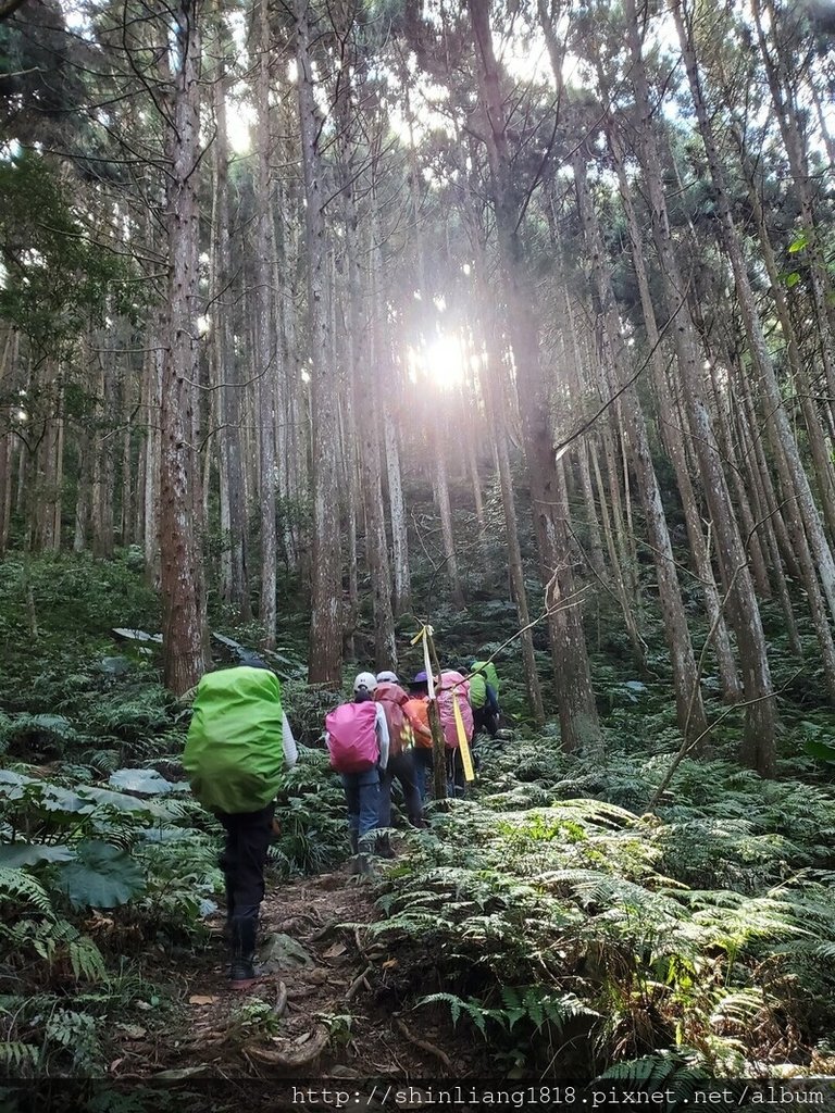 新竹 五峰 麥巴來山 親子登山 登山