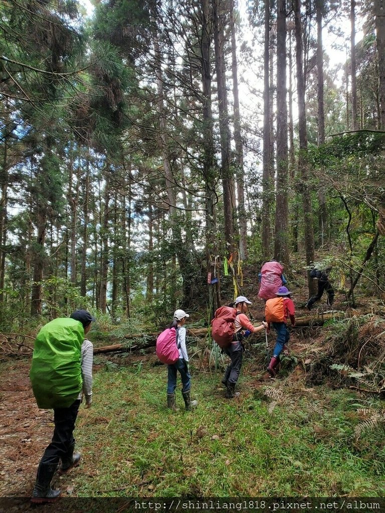 新竹 五峰 麥巴來山 親子登山 登山