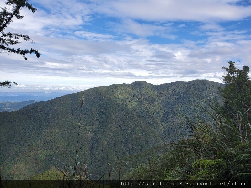 新竹 五峰 麥巴來山 親子登山 登山