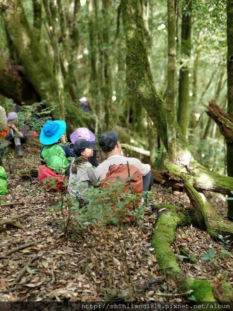 新竹 五峰 麥巴來山 親子登山 登山