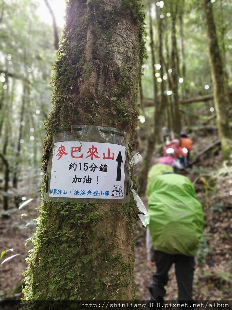 新竹 五峰 麥巴來山 親子登山 登山