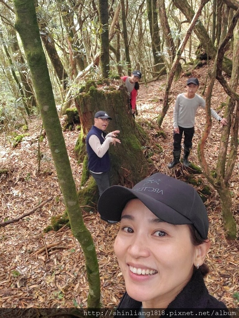 新竹 五峰 麥巴來山 親子登山 登山