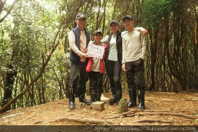 新竹 五峰 麥巴來山 親子登山 登山