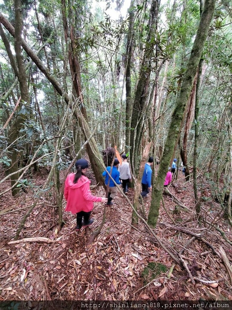 新竹 五峰 麥巴來山 親子登山 登山