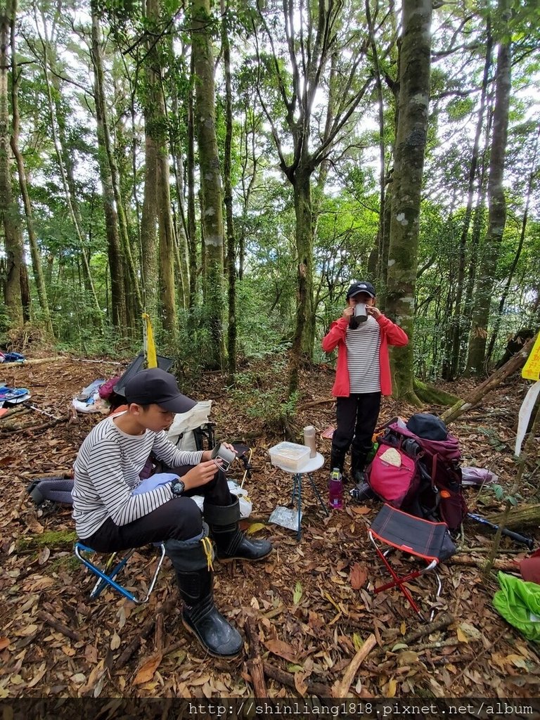 新竹 五峰 麥巴來山 親子登山 登山