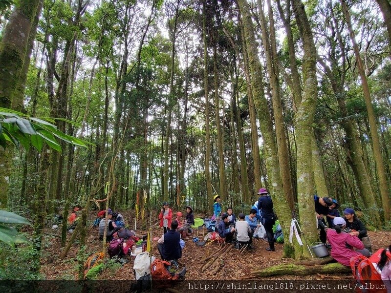 新竹 五峰 麥巴來山 親子登山 登山