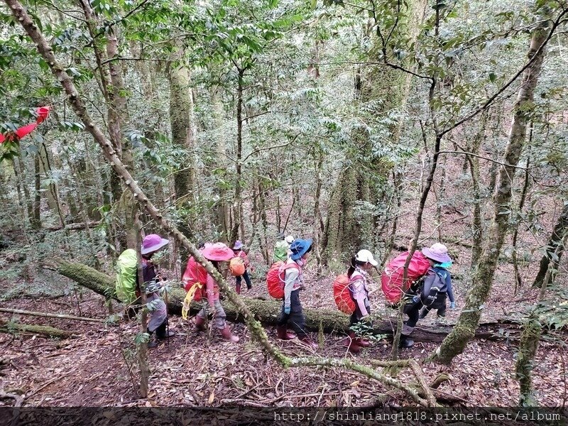 新竹 五峰 麥巴來山 親子登山 登山