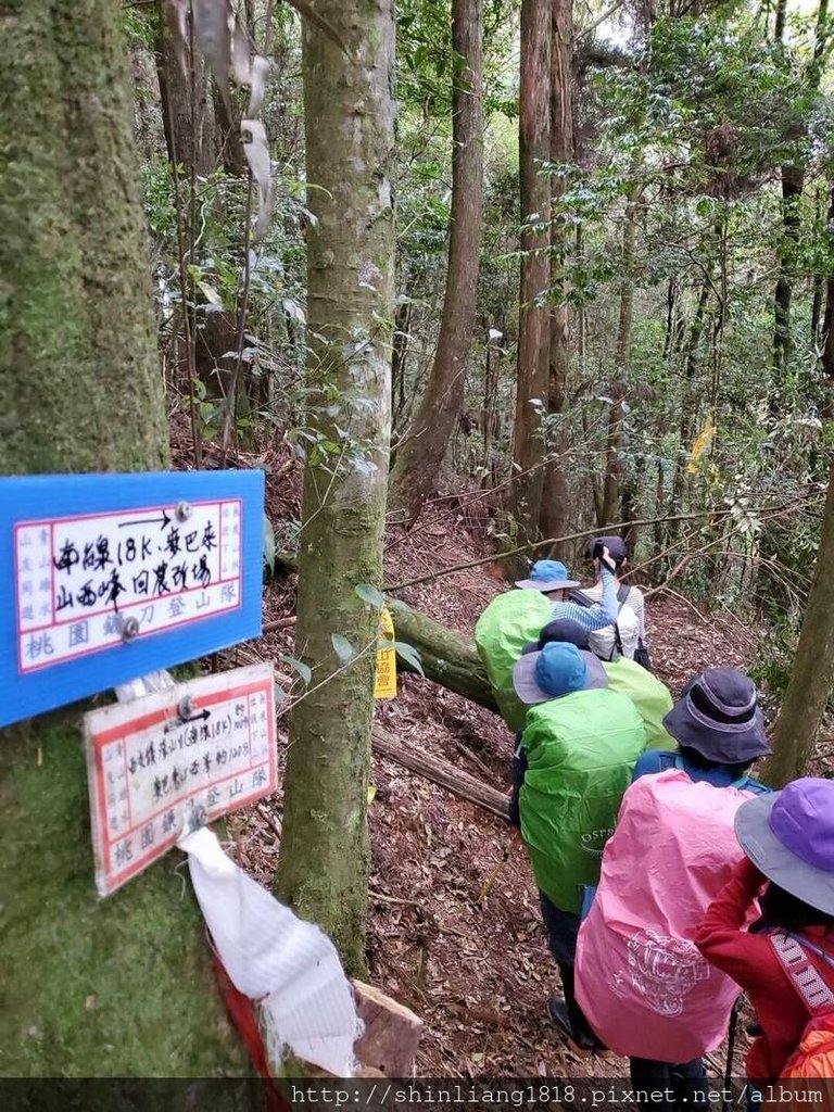 新竹 五峰 麥巴來山 親子登山 登山