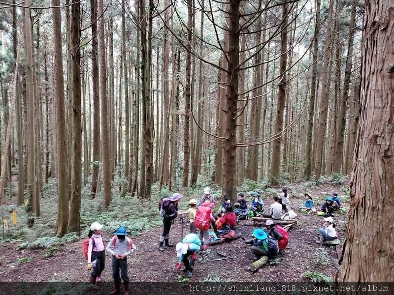 新竹 五峰 麥巴來山 親子登山 登山