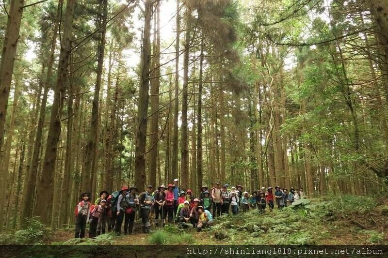 新竹 五峰 麥巴來山 親子登山 登山