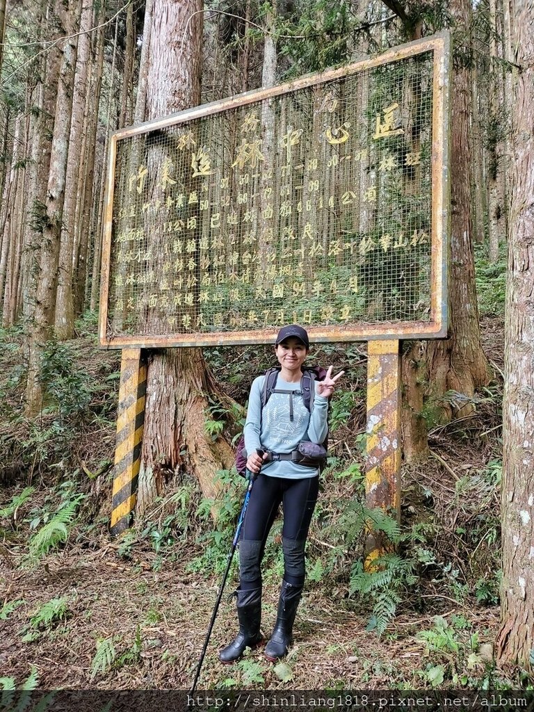 新竹 五峰 麥巴來山 親子登山 登山