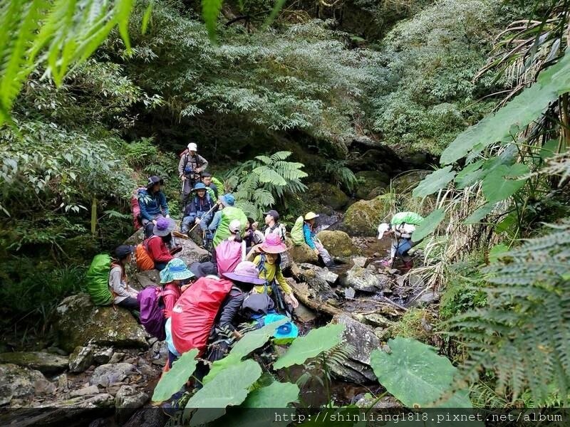 新竹 五峰 麥巴來山 親子登山 登山