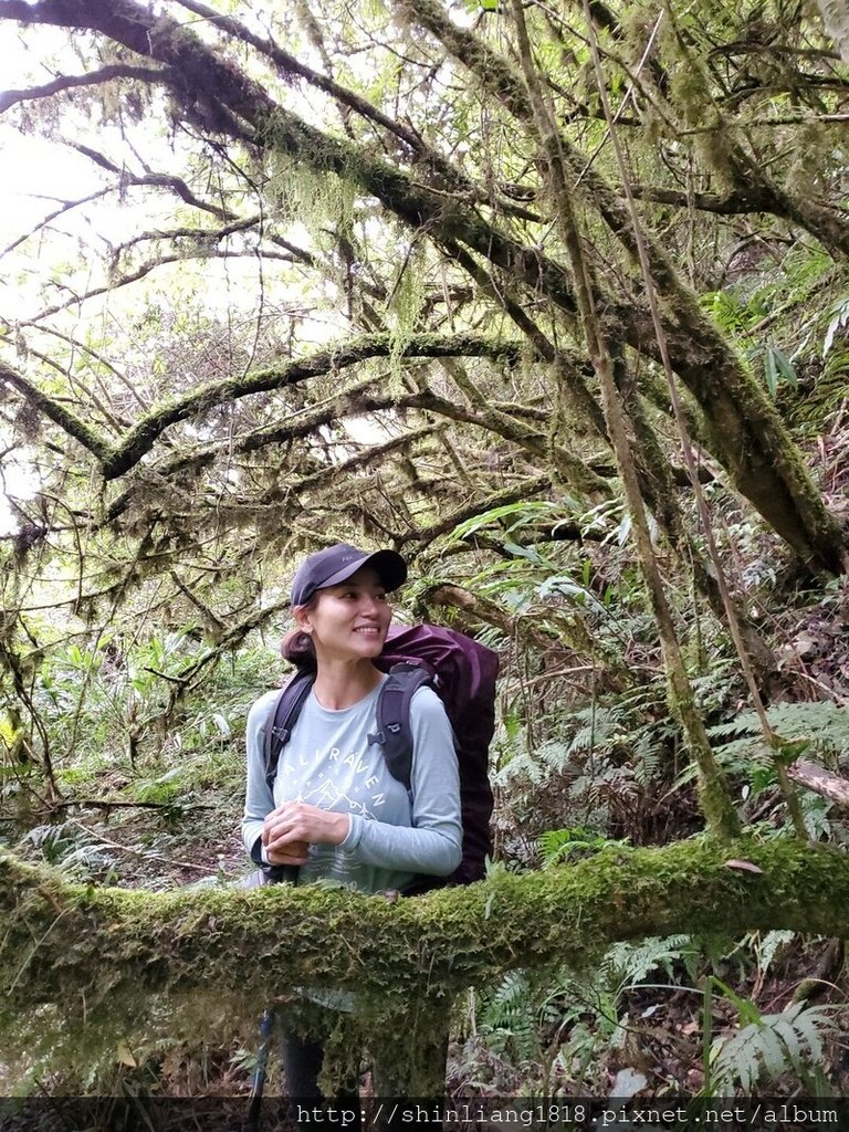 新竹 五峰 麥巴來山 親子登山 登山