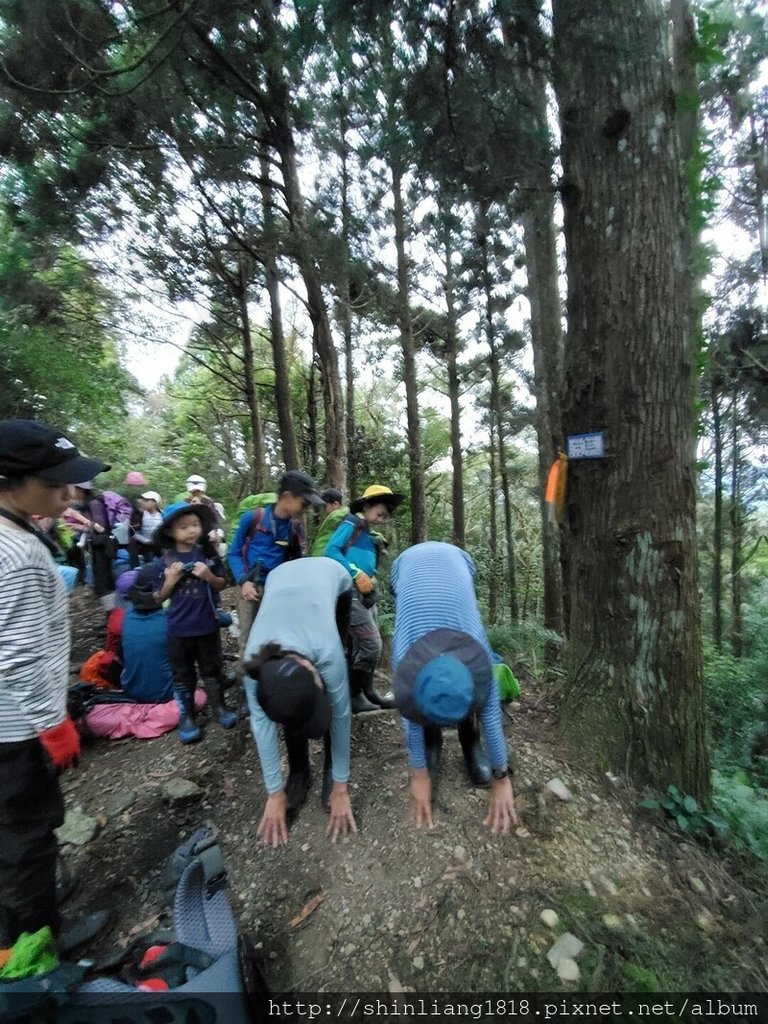 新竹 五峰 麥巴來山 親子登山 登山