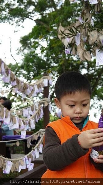 明德水庫 薰衣草森林 許願卡