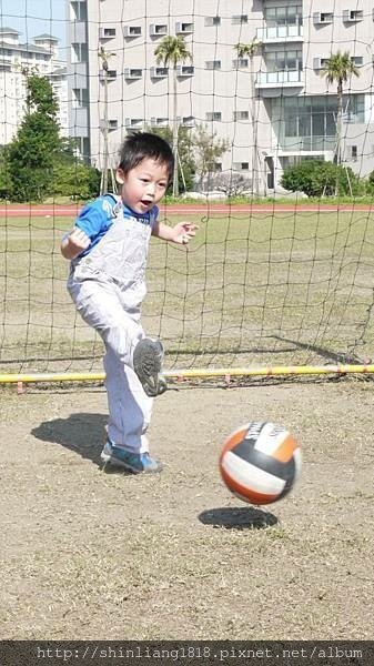 竹北足球場 蛋蛋 花花 運動 戰場