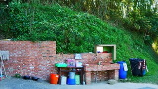 第五露 苗栗 茶書坊 蛋蛋 花花