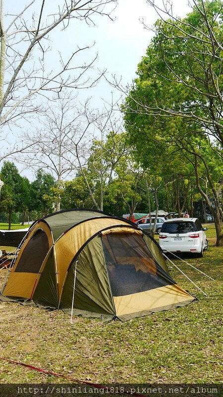 老官道 第九露 urban forest 天幕 行軍床