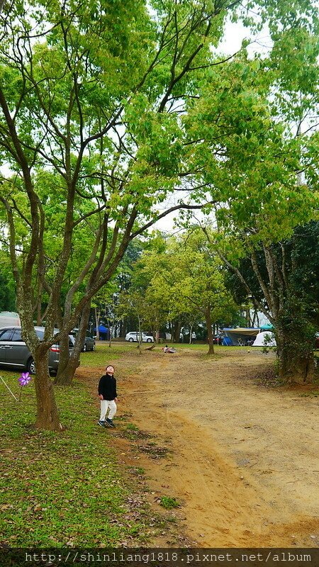 老官道 第九露 urban forest 天幕 行軍床