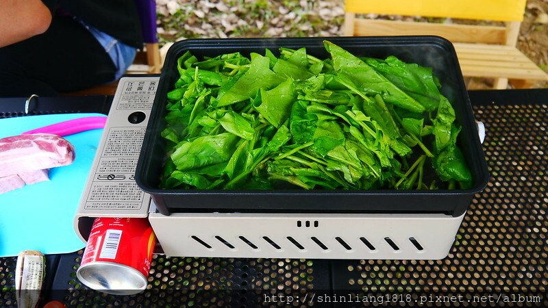 老官道 第九露 urban forest 天幕 行軍床