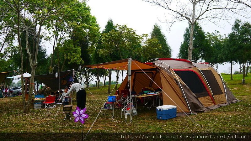 老官道 第九露 urban forest 天幕 行軍床