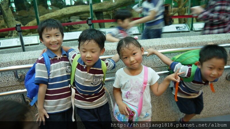 畢業旅行 韓國自由行 康乃薾雙語幼稚園 木柵動物園