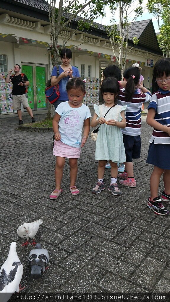 畢業旅行 韓國自由行 康乃薾雙語幼稚園 木柵動物園