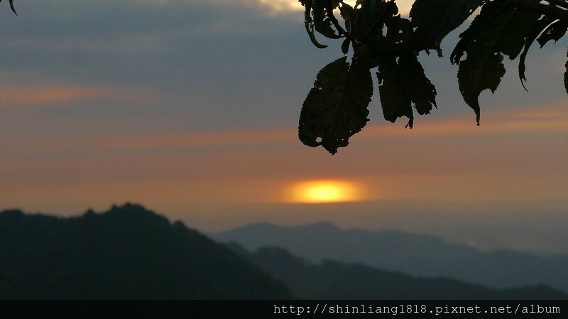 溫家茶園 風格露營用品 百萬夜景 百萬星光 溫家茶園露營區