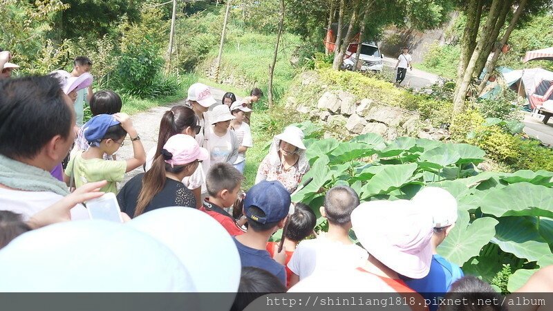 新竹五峰 樂哈山露營區 曾奶奶 營地導覽 風格露營用品