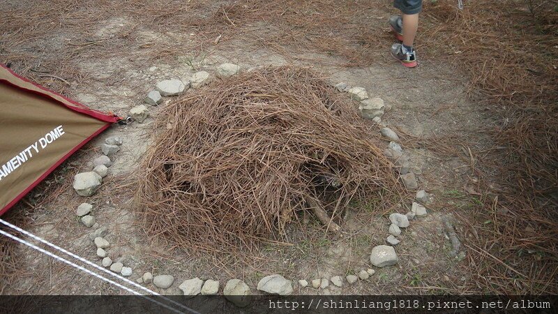 松濤意境露營區 親子露營 風格露營用品 苗栗南庄 松樹林