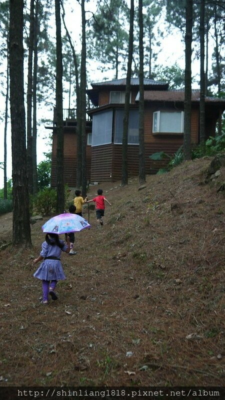 松濤意境露營區 親子露營 風格露營用品 苗栗南庄 松樹林