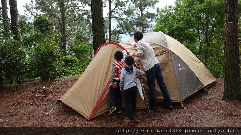 松濤意境露營區 親子露營 風格露營用品 苗栗南庄 松樹林