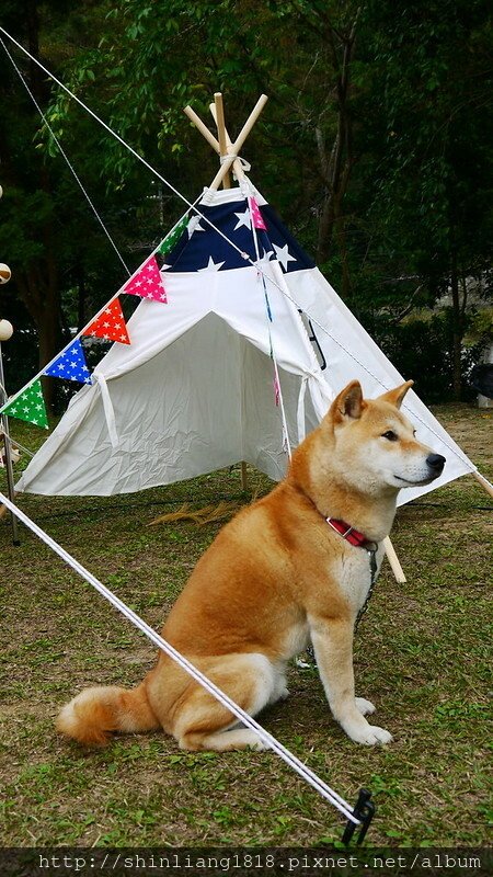 花露露 週年慶 三角旗 秘境露營區 苗栗南庄