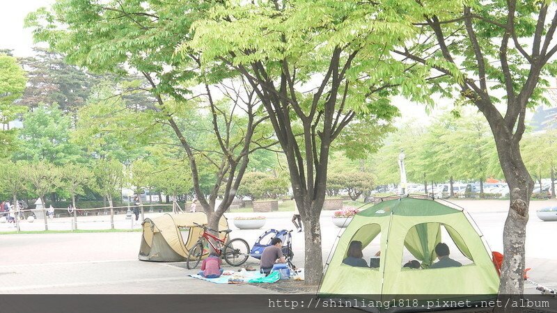 韓國露營 2015 世足公園 野餐 蛋爸花媽