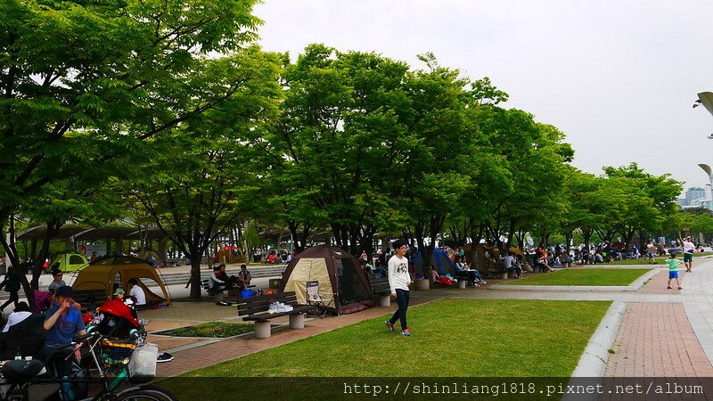 韓國露營 2015 世足公園 野餐 蛋爸花媽