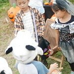 山林聆舞 美食 萬聖節 3005 苗栗營地