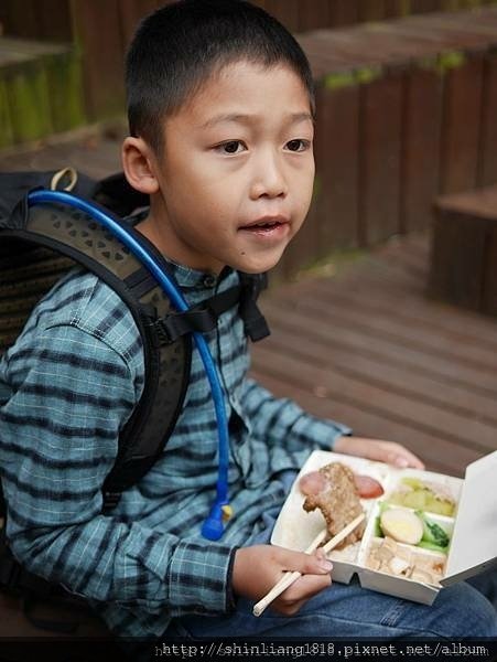 八仙山 哈露米營區 台中谷關 落櫻繽紛賞鳥樂 親子露營