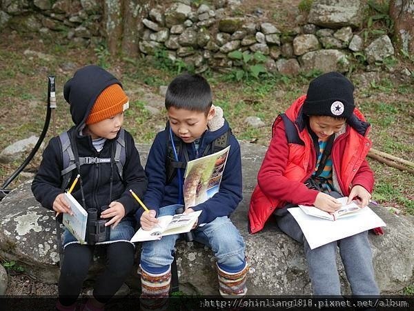 八仙山 哈露米營區 台中谷關 落櫻繽紛賞鳥樂 親子露營