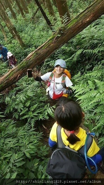 熊空 組合山 雲森瀑布 呂家雜貨店