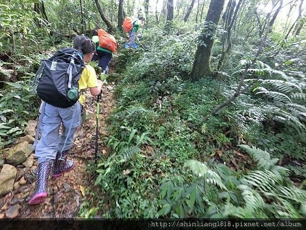 親子登山 南勢溪 檸檬樹露營區 溯溪 宜蘭