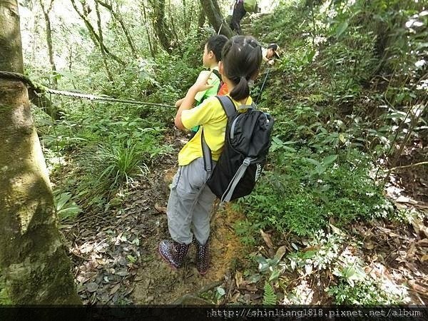 親子登山 南勢溪 檸檬樹露營區 溯溪 宜蘭