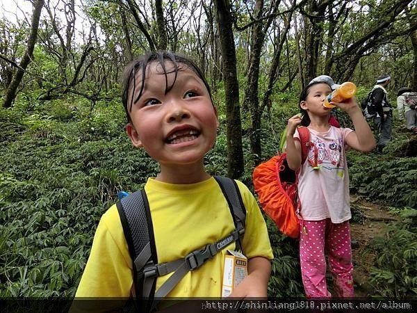 親子登山 南勢溪 檸檬樹露營區 溯溪 宜蘭