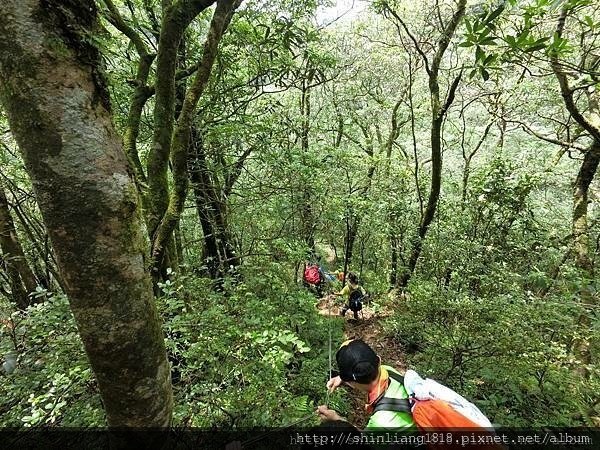 親子登山 南勢溪 檸檬樹露營區 溯溪 宜蘭