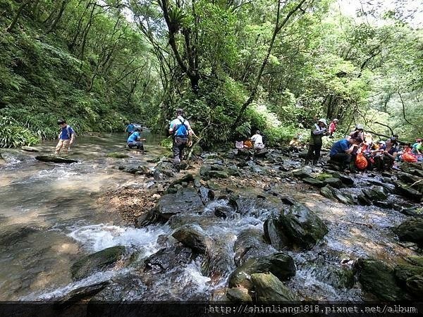 親子登山 南勢溪 檸檬樹露營區 溯溪 宜蘭