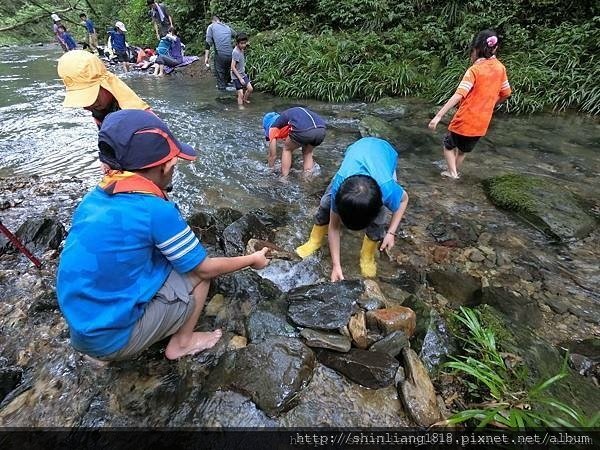 親子登山 南勢溪 檸檬樹露營區 溯溪 宜蘭