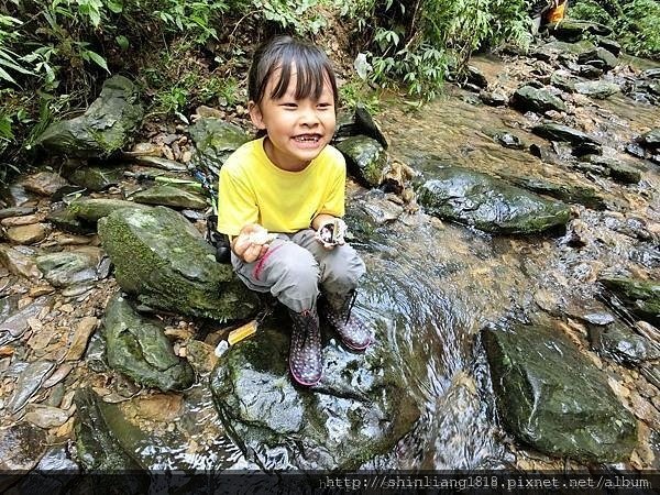 親子登山 南勢溪 檸檬樹露營區 溯溪 宜蘭